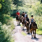 Association Wallonne Tourisme Equestre